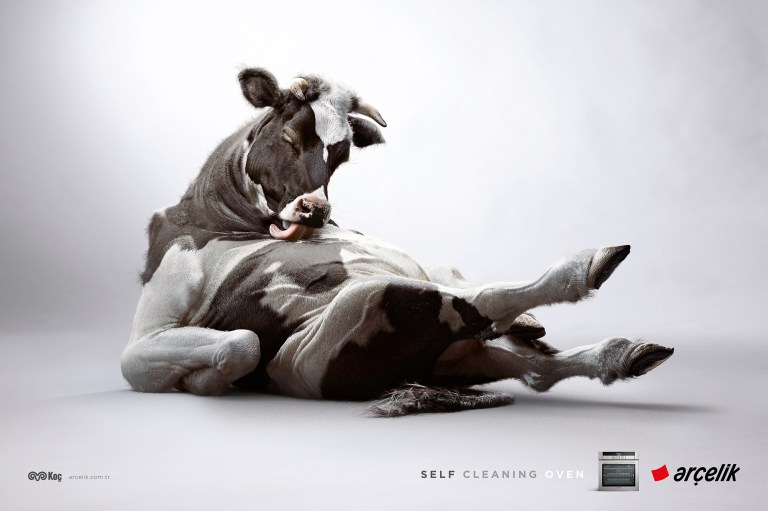 SelfCleaningOven ilan ing prova