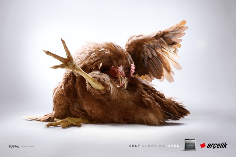 SelfCleaningOven ilan ing prova